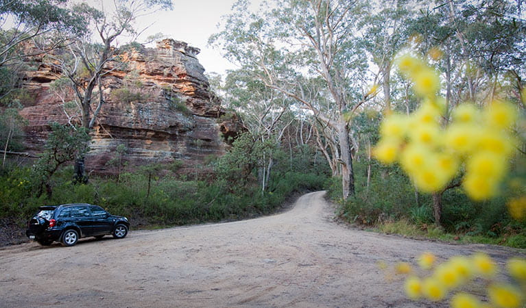 Pierces Pass to Blue Gum Forest walking track, Blue Mountains National Park. Photo: Nick Cubbin &copy; OEH