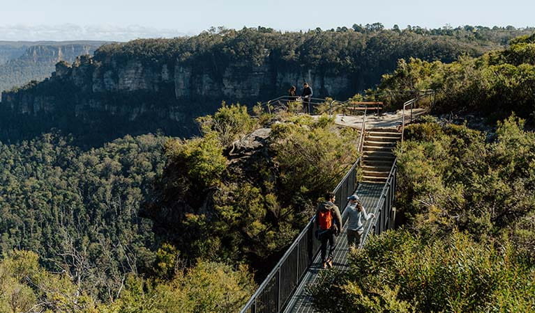 Grand Cliff Top Walk | NSW National Parks