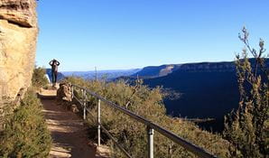 Prince Henry Cliff walk bushcare