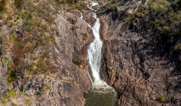 Boonoo Boonoo Falls are in Boonoo Boonoo National Park near Tenterfield. Photo: Joshua J Smith, &copy; DCCEEW