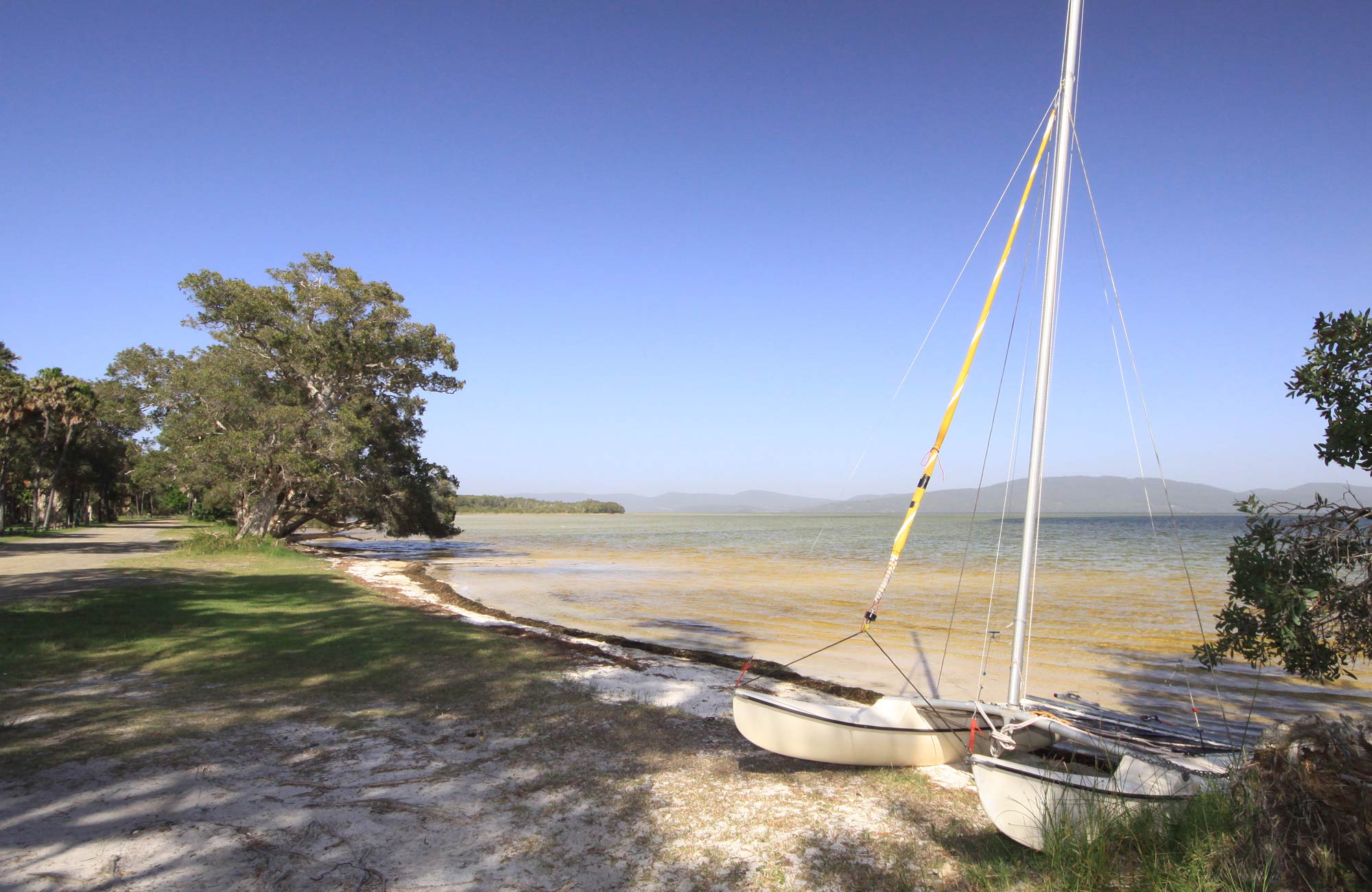 Sailing Club Picnic Area Nsw National Parks