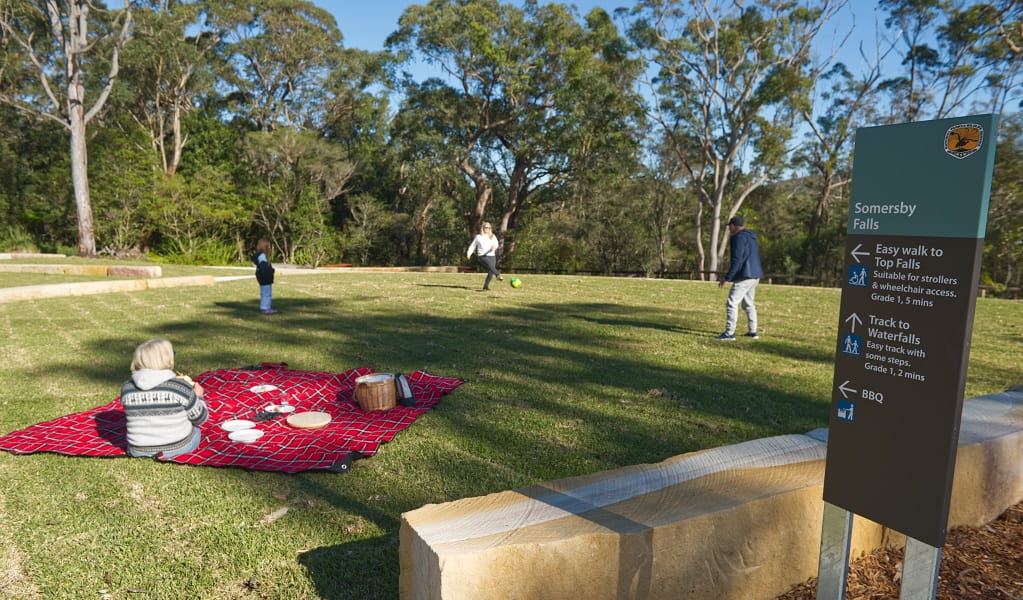 A family kicks a ball to each other while a woman sitting on a picnic blanket looks on, Somersby Falls picnic area, Brisbane Water National Park. Credit: Stuart Cohen, Bottle Brush Media © DCCEEW