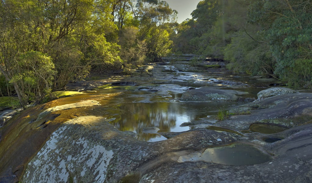 A section of Somersby Falls, Brisbane Water National Park. Credit: Stuart Cohen, Bottle Brush Media © DCCEEW