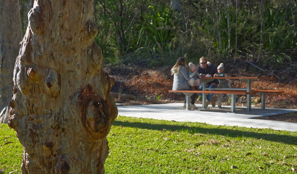 A family enjoy a picnic lunch at Somersby Falls picnic area, where the walking track starts. Credit: Stuart Cohen, Bottle Brush Media © DCCEEW
