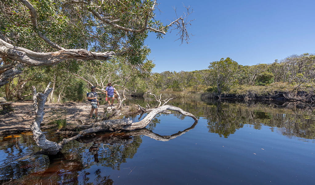 Walkers on the banks of Jerusalem Creek. Credit: John Spencer &copy; DCCEEW