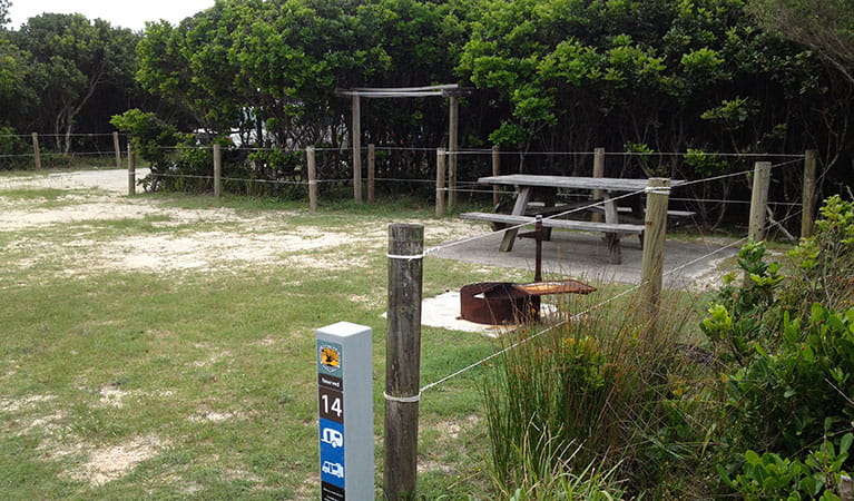 Campsite number 14 at Mibanbah – Black Rocks campground, Bundjalung National Park. Photo: Holly North/OEH