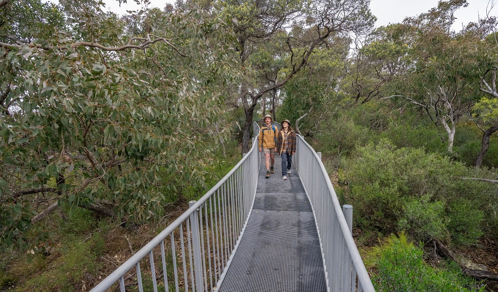 Two people walk along a narrow fenced bridge walkway to Adams lookout, Bungonia National Park. Photo: John Spencer/DCCEEW