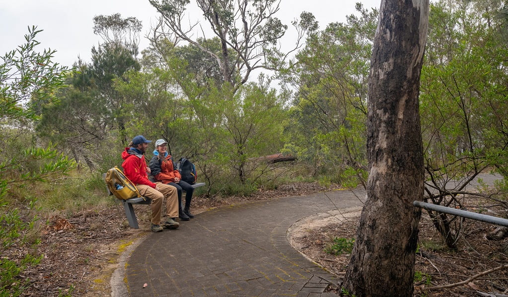 Two visitors stop for a rest and a chat on a seat beside the pathway from Adams lookout, Bungonia National Park. Photo: John Spencer/DCCEEW