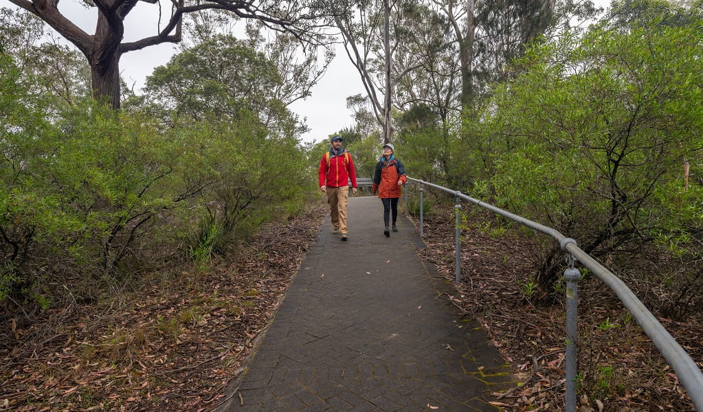 Two people walk along a paved path at Adams lookout and picnic area, Bungonia National Park. Photo: John Spencer/DCCEEW