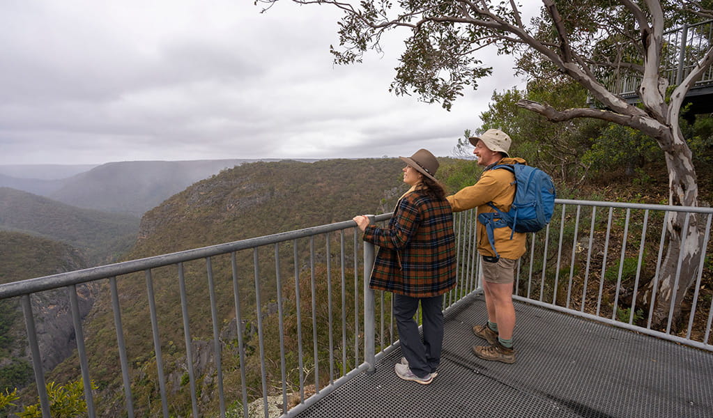 Visitors admiring the view from Adams lookout in Bungonia National Park. Photo: John Spencer/DCCEEW &copy; DCCEEW