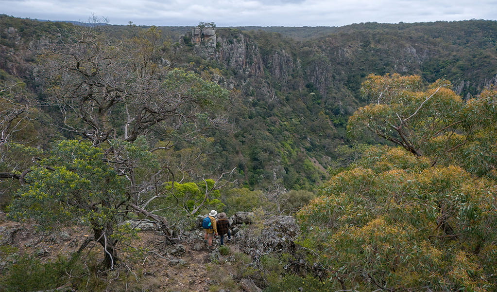 Walkers on The Green track in Bungonia National Park. Photo: John Spencer/DCCEEW &copy; DCCEEW