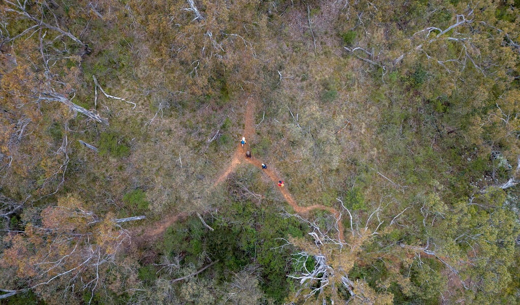 Aerial view of the Green track, with 4 walkers along it, Bungonia National Park. Photo: John Spencer &copy; DCCEEW 