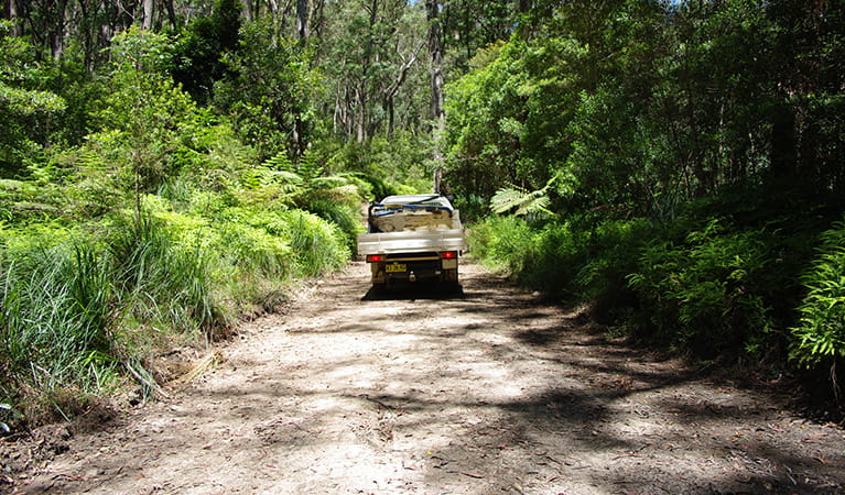4WD vehicle on unsealed road surrounded by lush forest.  Photo: Piers Thomas/OEH