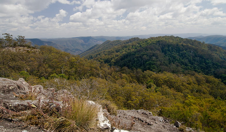 View of mountains and valleys from Hoppy's lookout in Oxley Wild Rivers National Park.   Photo: John Spencer/OEH