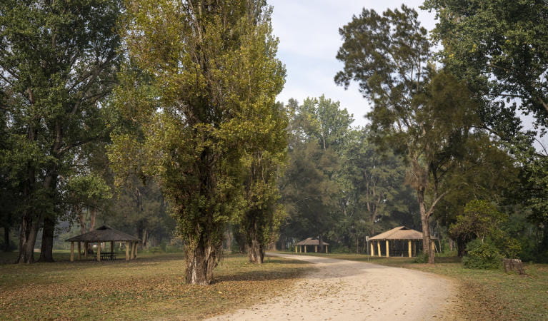 Cattai Campground | NSW National Parks