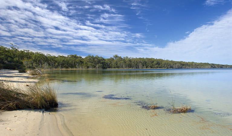 Conjola National Park | NSW National Parks