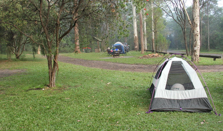 Tent in Mill Creek campground, Dharug National Park. Photo: John Yurasek/DPIE
