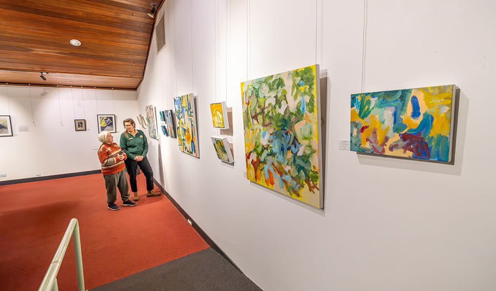 Art on display at Dorrigo Rainforest Centre. Photo: John Spencer/DCCEEW &copy; DCCEEW