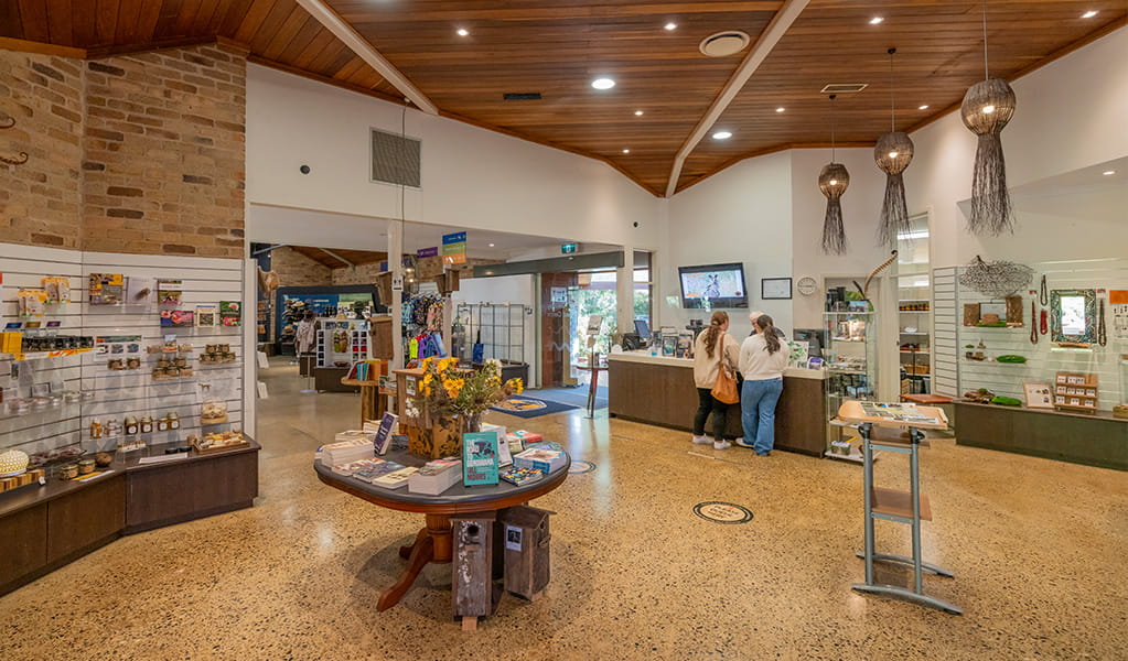 The interior of Dorrigo Rainforest Centre. Photo: John Spencer/DCCEEW &copy; DCCEEW