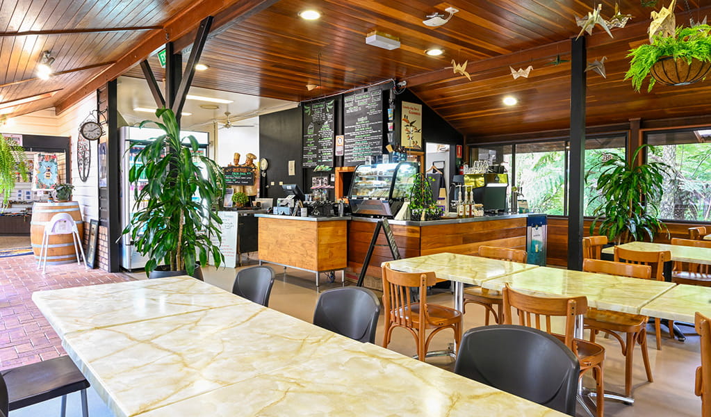 The cafe at Dorrigo Rainforest Centre. Photo: Adam Hollingworth/DCCEEW &copy; DCCEEW