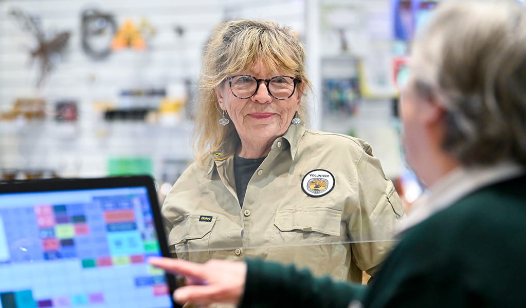 A volunteer and staff member chatting at Dorrigo Rainforest Centre. Photo: Adam Hollingworth/DCCEEW &copy; DCCEEW