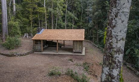 An elevated view of the picnic shelter in its lush forest setting at Never Never picnic area, Dorrigo National Park. Credit: John Spencer/DCCEEW &copy; DCCEEW