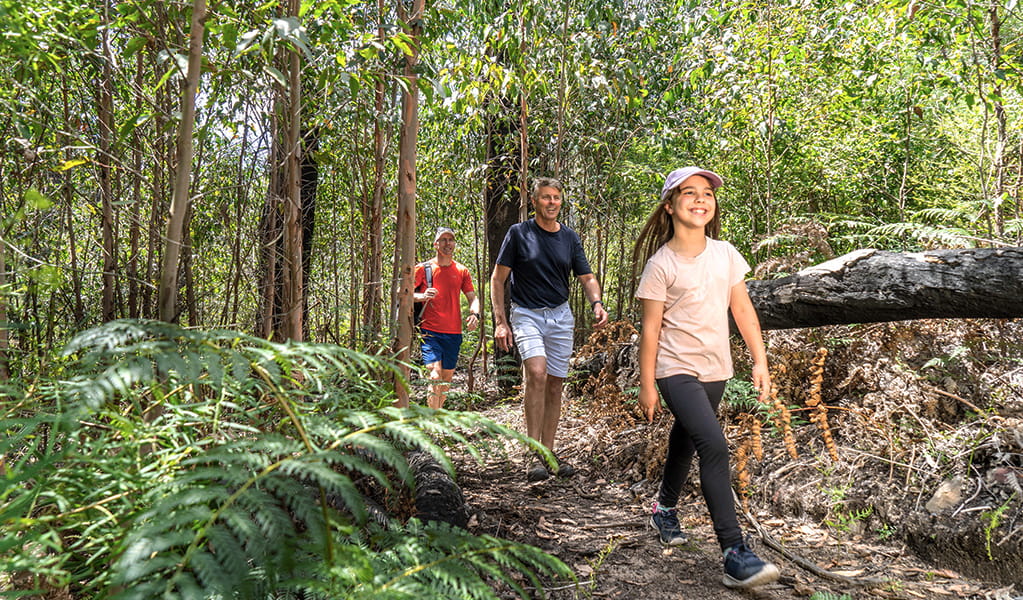 A young girl and 2 adults hiking through a forested section of Lost City walking track in Gardens of Stone State Conservation Area. Credit: Simone Cottrell &copy; DCCEEW