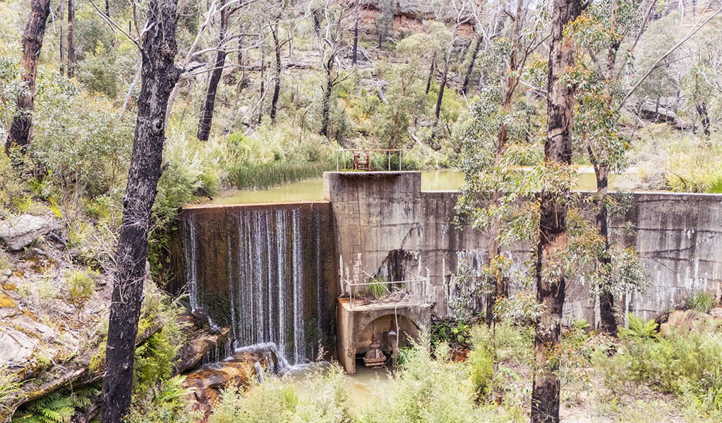 Water trickling over a historic heritage dam surrounded by trees that once supplied water to Lithgow. Credit: Simone Cottrell &copy; DCCEEW