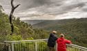 Visitors take in striking valley landscape scenery from lookout along Muurlay Garriirlgundi track. Photo: David Waugh/DCCEEW &copy; DCCEEW