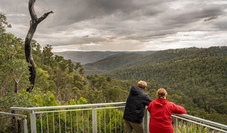 Visitors take in striking valley landscape scenery from lookout along Muurlay Garriirlgundi track. Photo: David Waugh/DCCEEW &copy; DCCEEW