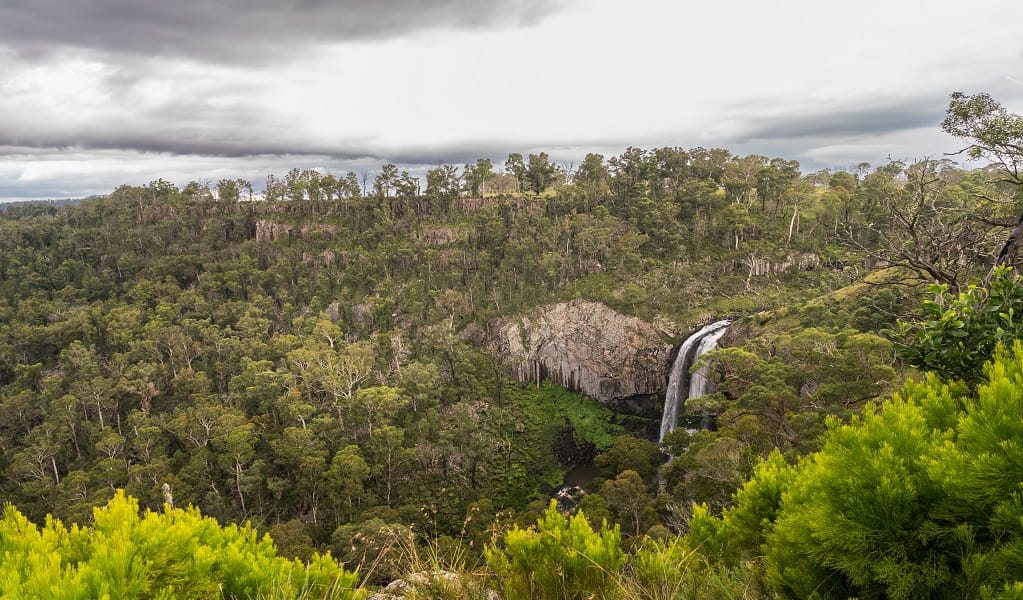 View of the ever-flowing Ebor Falls and the scenic bushland surrounds. Photo: David Waugh/DCCEEW &copy; DCCEEW