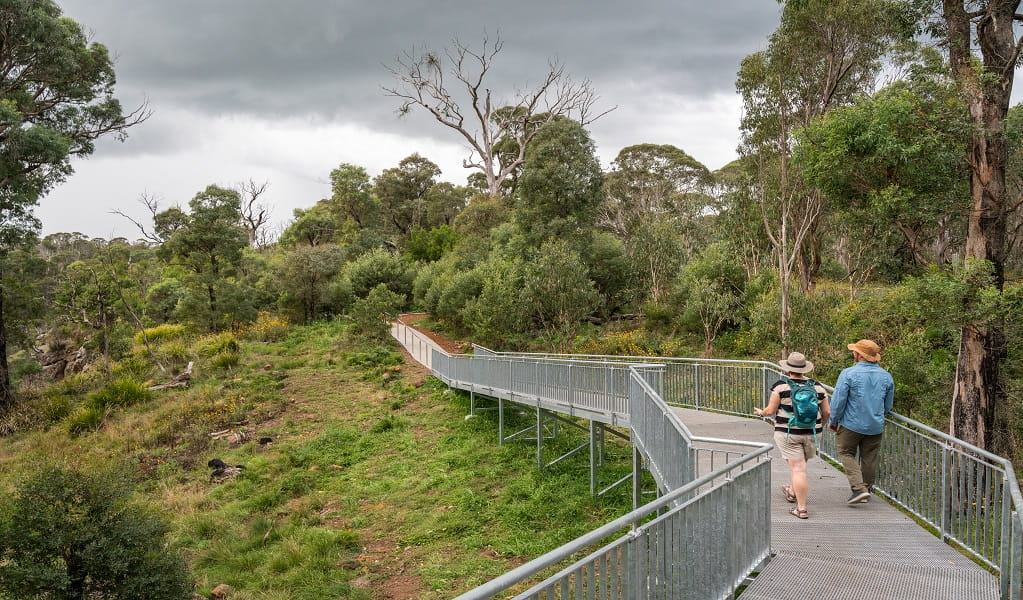 Visitors enjoy scenic bushland surrounds along Muurlay Garriirlgundi track. Photo: David Waugh/DCCEEW &copy; DCCEEW