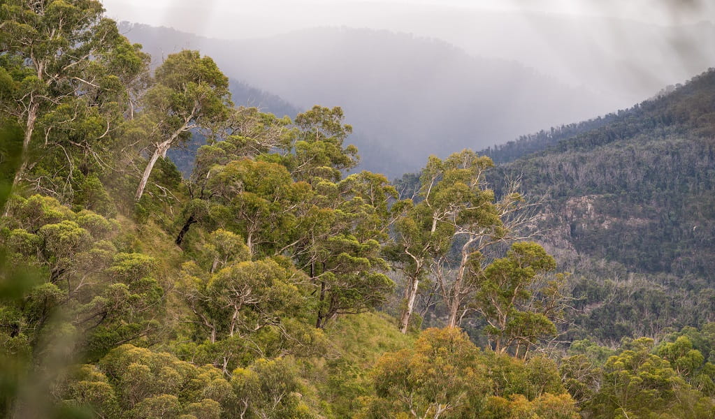 View of the striking valley landscape scenery along Muurlay Garriirlgundi track. Photo: David Waugh/DCCEEW &copy; DCCEEW