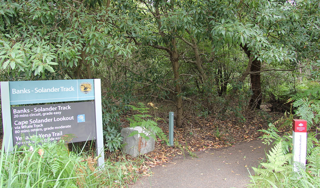 Signage showing the beginning of Banks-Solander track with a concrete path. Credit: Natasha Webb/DCCEEW &copy; Natasha Webb