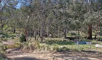 Kowmung River fire trail leading into the entrance of Dingo Dell campground on Tuglow Hole Creek, Dingo Dell campground, Kanangra Boyd National Park. Credit: Louisa Roberts/DCCEEW &copy; DCCEEW