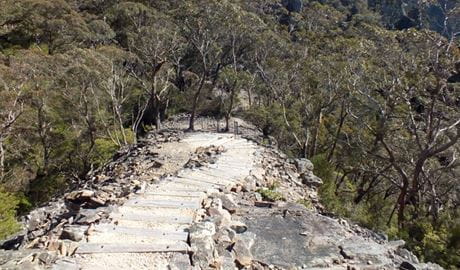 Stone steps along Kalang Falls walk surrounded by Kanangra-Boyd National Park .