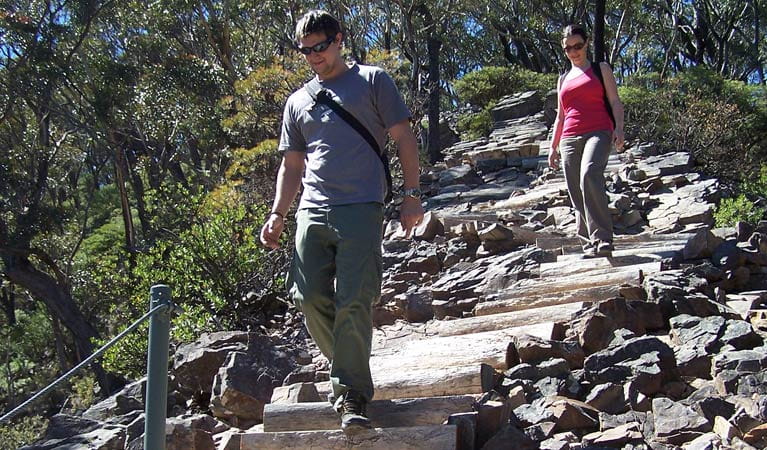 2 people walking down steps along Kalang Falls walk in Kanangra-Boyd National Park. Photo: M Jones