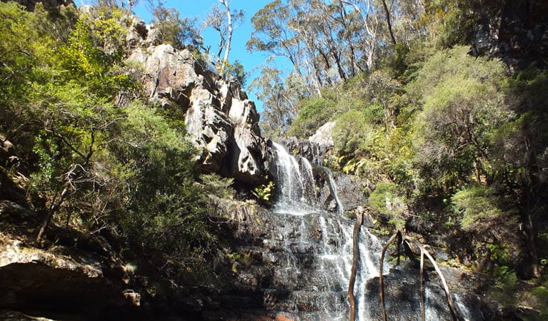 A waterfall surrounded by trees along Kalang Falls walk, Kanangra-Boyd National Park. Photo: M Jones