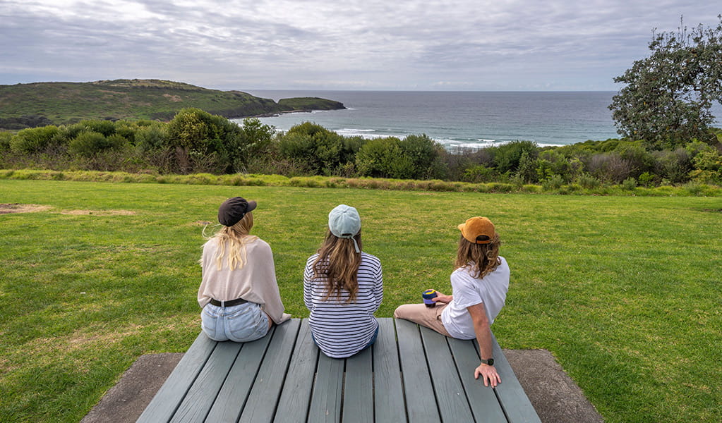 Visitors enjoying ocean views from the grassy area in Killalea Regional Park. Photo: John Spencer/DCCEEW &copy; DCCEEW