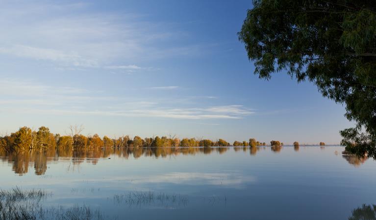 Kinchega National Park | NSW National Parks