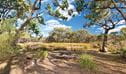 Kings Plain Creek campground, Kings Plains National Park. Photo: Rob Cleary/NSW Government