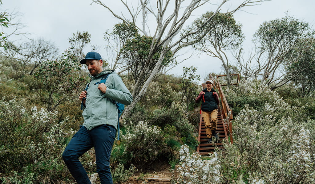 2 hikers surrounded by wildflowers on day 1 of Snowies Alpine Walk. Credit: Remy Brand / DCCEEW &copy; Caravel Content