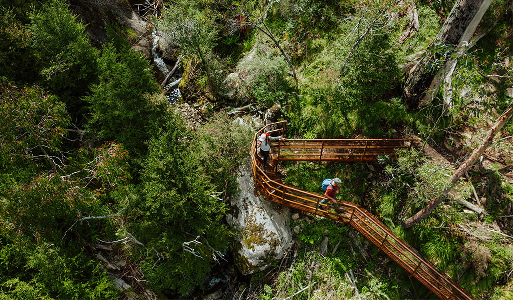 2 hikers walking down a raised platform path to Bullocks Flat from Perisher Valley on Snowies Alpine Walk. Credit: Daniel Parsons / DCCEEW &copy; Caravel Content