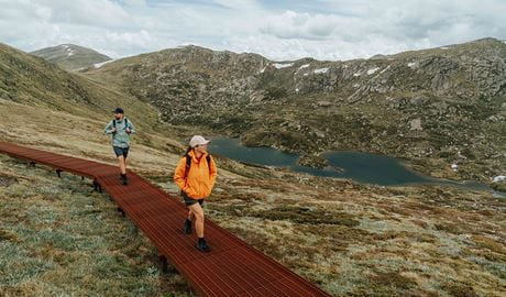 2 hikers walking on a raised path on day 2 of Snowies Alpine Walk with snow capped mountains in the background. Credit: Remy Brand / DCCEEW &copy; Caravel Content