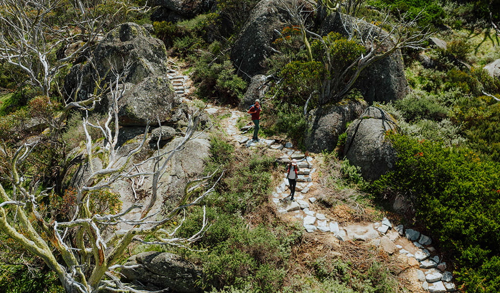 2 hikers on a winding trail of stepping stones along Snowies Alpine Walk surrounded by sub-alpine plants in Kosciuszko National Park. Credit: Daniel Parsons / DCCEEW &copy; Caravel Content