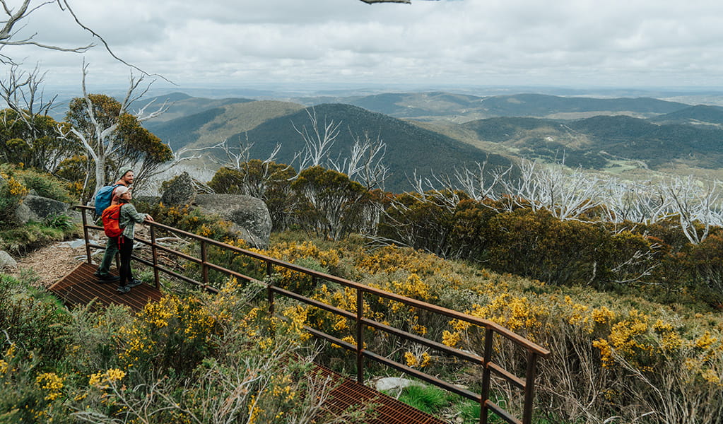 2 hikers looking out an explansive view of the Snowy Mountains surrounded by wildflowers on day 3 of Snowies Alpine Walk. Credit: Remy Brand / DCCEEW &copy; Caravel Content