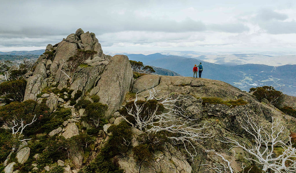 2 hikers on day 3 of Snowies Alpine Walk looking at valley views from Porcupine Rocks. Credit: Daniel Parsons / DCCEEW &copy; Caravel Content