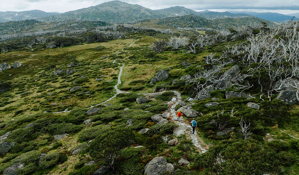 An aerial view of bushwalkers along a winding path as part of Charlotte Pass Village to Perisher Valley walk. Credit: Daniel Parsons / DCCEEW © Caravel Content