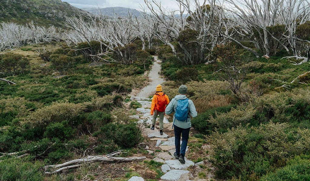 2 on a stone path along Charlotte Pass Village to Perisher Valley walk. Credit: Remy Brand / DCCEEW © Caravel Content