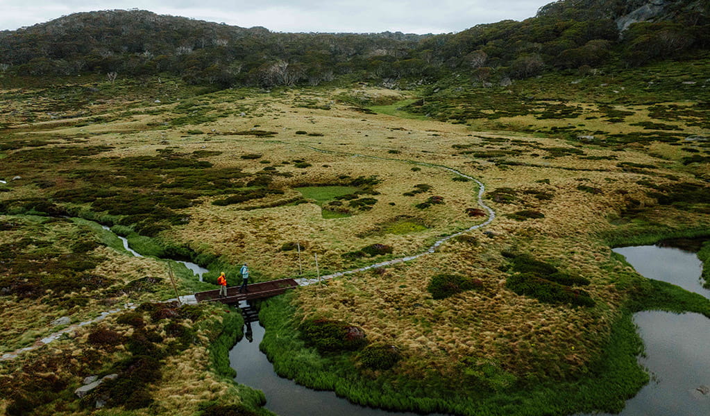 An aerial view of 2 hikers crossing a winding creek surrounded by marsh on Charlotte Pass Village to Perisher Valley walk, Kosciuszko National Park. Credit: Daniel Parsons / DCCEEW © Caravel Content